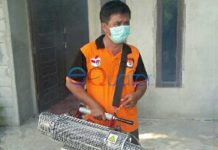 DBD Renggut Nyawa Dua Bocah Singkawang