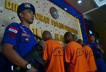 Illegal Logging Berkedok Perkebunan Sawit