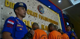 Illegal Logging Berkedok Perkebunan Sawit