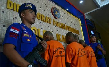 Illegal Logging Berkedok Perkebunan Sawit