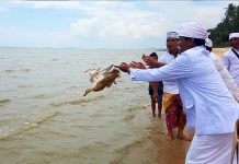 Umat Hindu Kalbar Gelar Melasti di Pantai Kijing