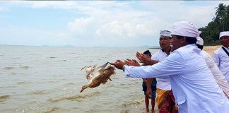 Umat Hindu Kalbar Gelar Melasti di Pantai Kijing