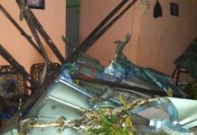 Bukan Durian Runtuh, Dua Rumah Ditimpa Pohon Rubuh