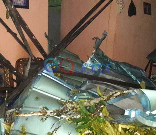 Bukan Durian Runtuh, Dua Rumah Ditimpa Pohon Rubuh