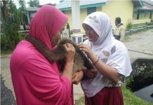 Sayang Tak Berarti Harus Memelihara