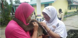 Sayang Tak Berarti Harus Memelihara