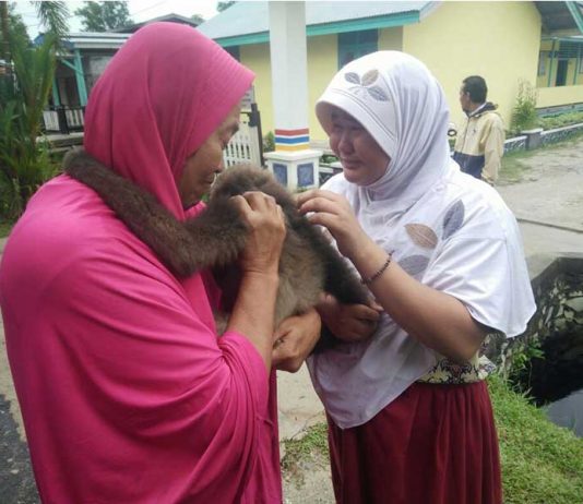 Sayang Tak Berarti Harus Memelihara