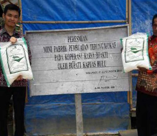 Puluhan Ton Tepung Mokaf Menumpuk di Gudang