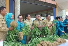Bupati Kritik Ibu-ibu Nunggu Mamang Sayur