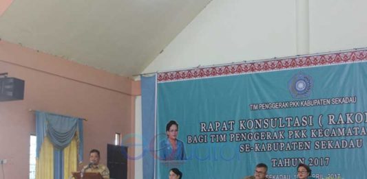 Bapak-bapak Tak Haram Ngurus PKK