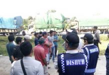 Bos Minta Dimuat Semua Kalau Tidak, Maka Dipecat