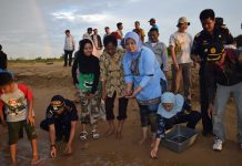 Selamatkan Telur Penyu dari Perdagangan Gelap