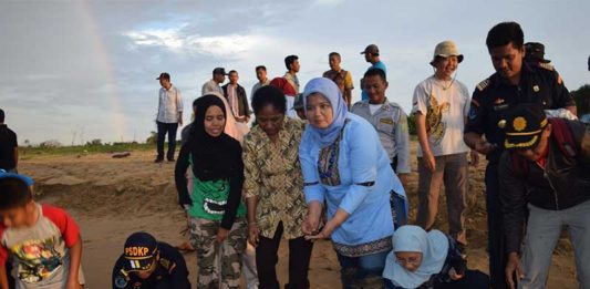 Selamatkan Telur Penyu dari Perdagangan Gelap