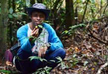 Menelusuri Jejak Orangutan  di Hutan Aur Kuning