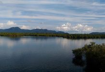 Mengarungi Danau Sentarum yang seperti Raja Ampat