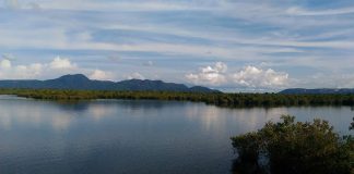 Mengarungi Danau Sentarum yang seperti Raja Ampat