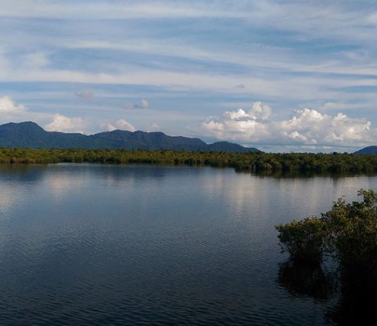 Mengarungi Danau Sentarum yang seperti Raja Ampat