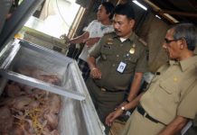 AWAS… Ayam Berformalin Beredar