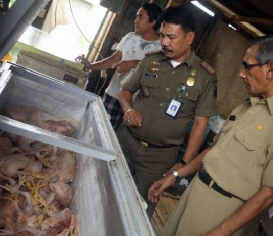 AWAS… Ayam Berformalin Beredar