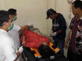 Bos Ayam Ditemukan Tewas Bersimbah Darah