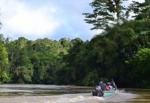 Menelusuri Sungai Tamambaloh yang Alamnya Masih Oke Banget