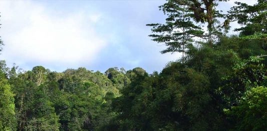 Menelusuri Sungai Tamambaloh yang Alamnya Masih Oke Banget