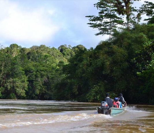 Menelusuri Sungai Tamambaloh yang Alamnya Masih Oke Banget