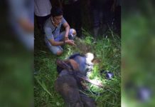 Dikira Monyet Tewas Ditembak