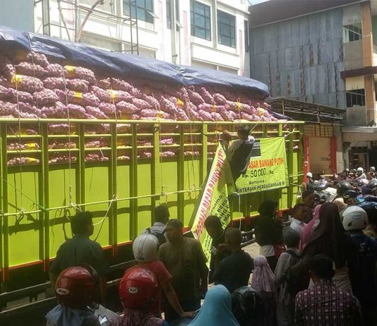 Operasi Pasar Bawang Putih Sebulan Sekali? Mati lah…..