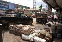 Ketika Petani Karet Harus  Pandai-pandai Mencari Hidup