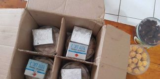 Detonator Nyaris Masuk Ketapang