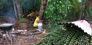 Mengolah Kolang-kaling Memenuhi Kebutuhan Idul Fitri