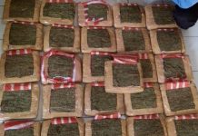 Penyelundupan 26 Kg Ganja Digagalkan