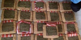Penyelundupan 26 Kg Ganja Digagalkan