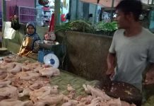Harga Ayam Potong Capai Rp50 Ribu per Kilo