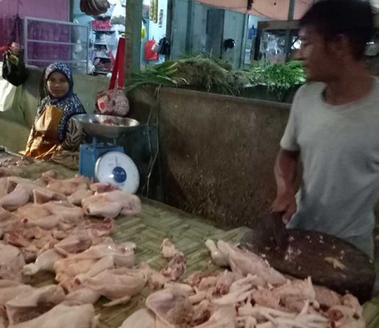 Harga Ayam Potong Capai Rp50 Ribu per Kilo
