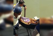 Nyemplung ke Laut, Pak Guru Meninggal