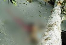 Ibu dan Anak Tewas Mengenaskan