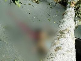 Ibu dan Anak Tewas Mengenaskan