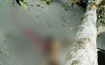 Ibu dan Anak Tewas Mengenaskan