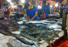 Pemprov Klaim Kalbar Surplus Ikan