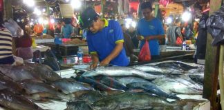 Pemprov Klaim Kalbar Surplus Ikan