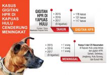 Kasus Gigitan HPR di Kapuas Hulu Cenderung Meningkat