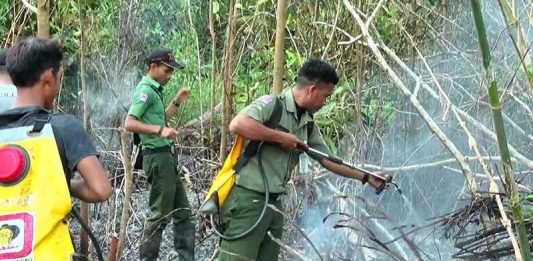 Karhutla Ancam Rumah Dinas Wabup Kayong Utara