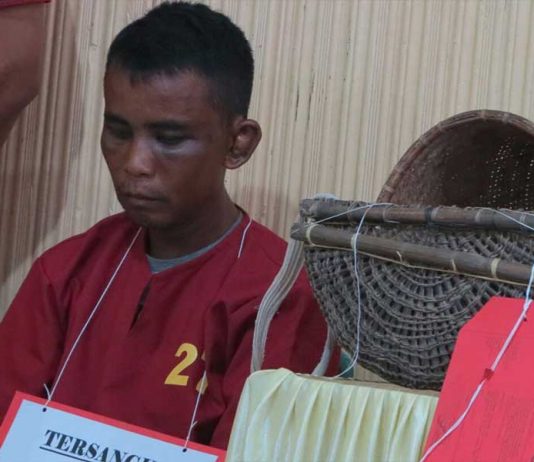 Pemerkosa dan Pembunuh Gadis 14 Tahun Diringkus