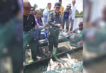 Panen Raya di Danau Lindung Sunjung dan Empangau