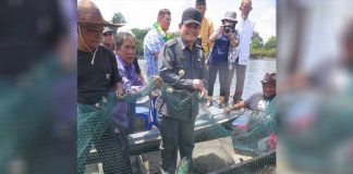 Panen Raya di Danau Lindung Sunjung dan Empangau