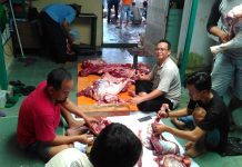 Warga Paloh Terima Sapi dari Jokowi dan Cornelis