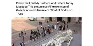 Kerangka Goliath atau Nabi Adam?