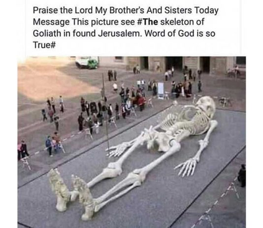 Kerangka Goliath atau Nabi Adam?